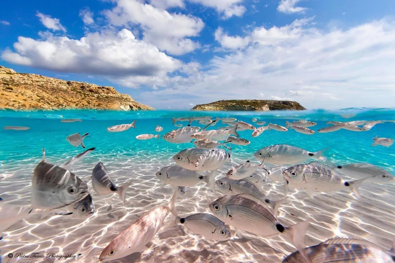 Stella Marina Apartment Lampedusa